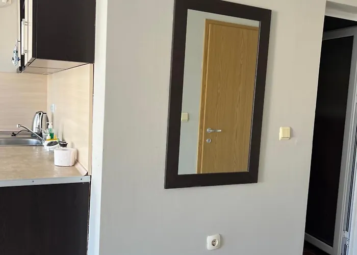 студио петя サニービーチ